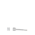 590593 main